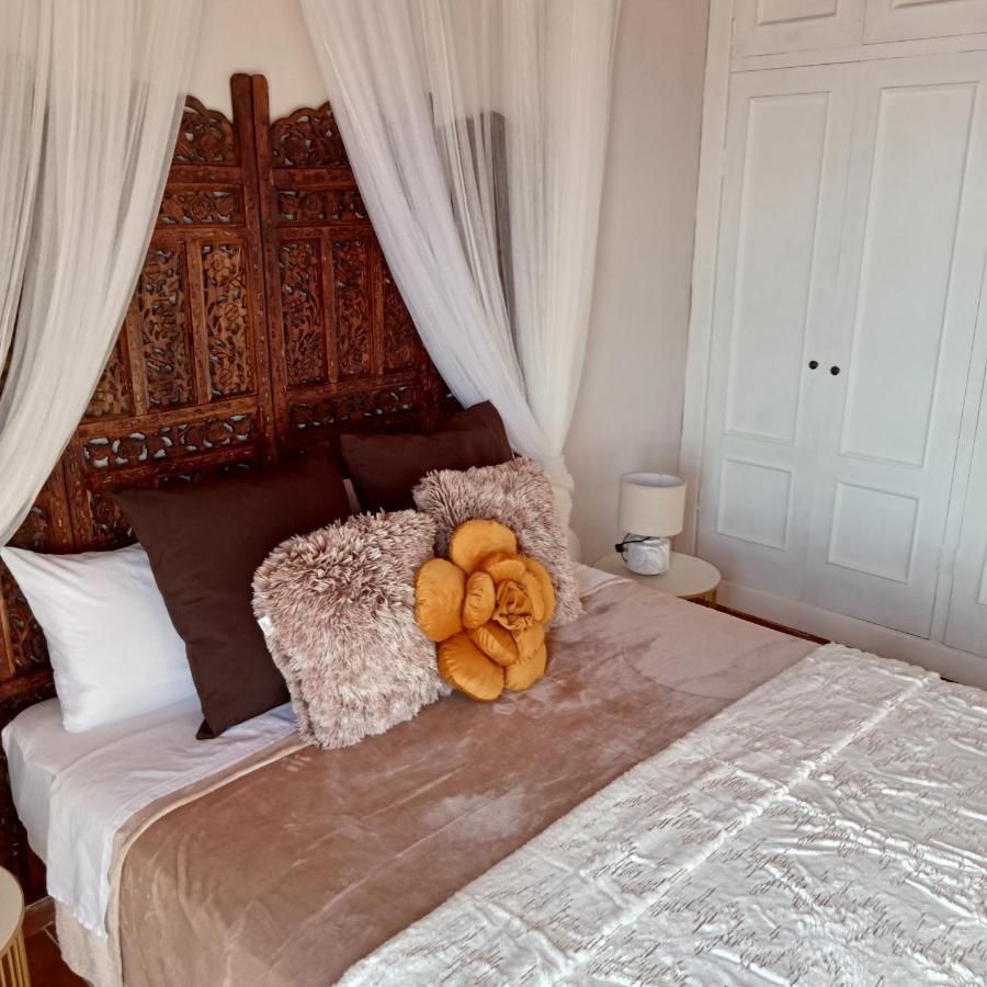 شقة سانتا كروز دي تينيريف  في Apartamento En Zona Privilegiada المظهر الخارجي الصورة