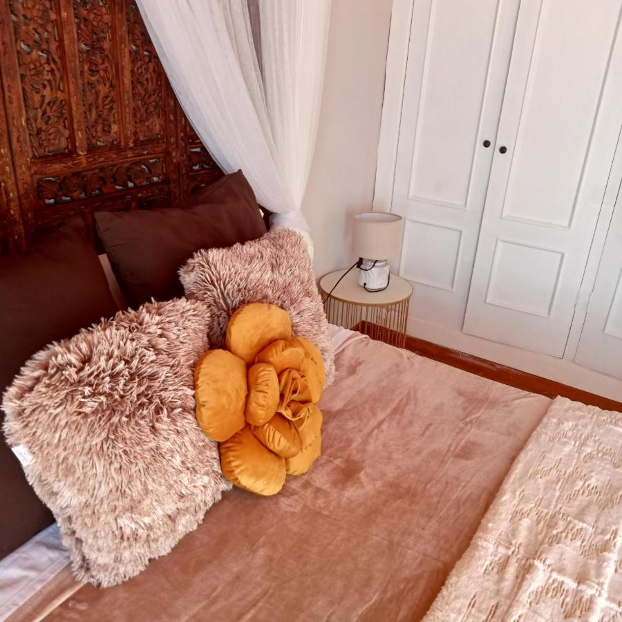 شقة سانتا كروز دي تينيريف  في Apartamento En Zona Privilegiada المظهر الخارجي الصورة